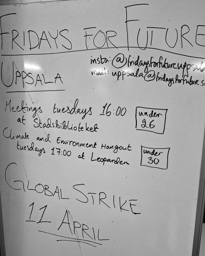 project-cafe-1-2025-1