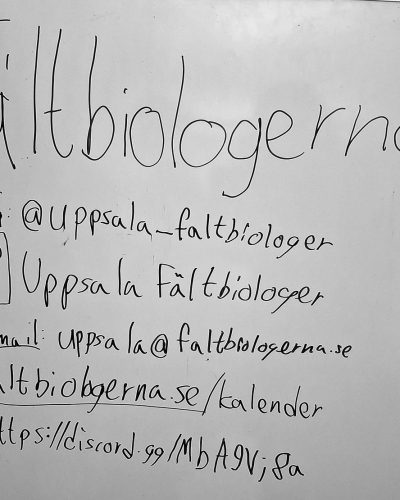 project-cafe-1-2025-3