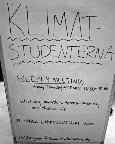 project-cafe-1-2025-4